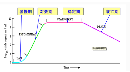 微生物生長曲線圖