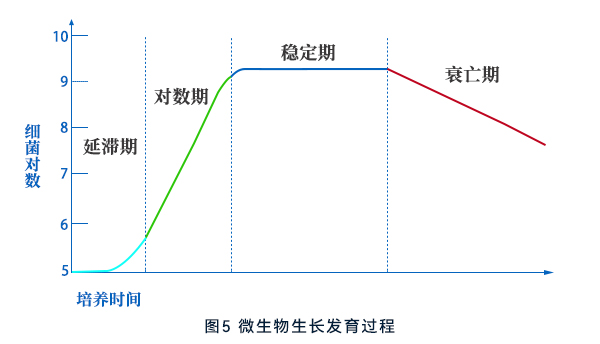 微生物生長發(fā)育過程