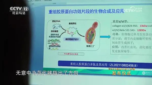 類人膠原蛋白項(xiàng)目