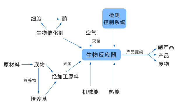 一般生物技術(shù)生產(chǎn)過(guò)程示意圖